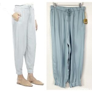 Raegrass Slate Luxe Jogger Pants Size M